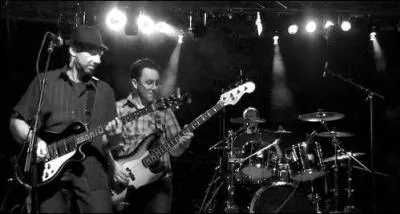 Quel tait le nom du groupe dans lequel Picote jouait de la guitare ?