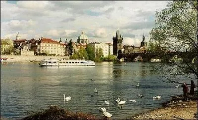Vu du pont Charles depuis l'le de Kampa. Observation : Quel type d'oiseaux se trouvent sur le devant de l'image ?