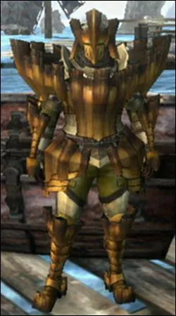Quelle armure porte ce chasseur ?