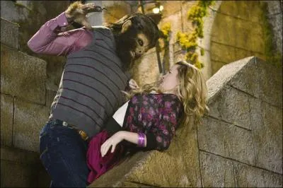 Qui sont-ils dans "Les Sorciers de Waverly Place" ?