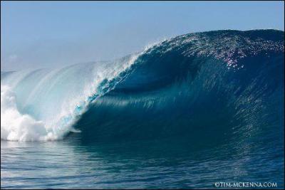 Les ctes de l'Aquitaines sont rputes pour le ...