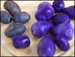 La vitelotte, violette, ngresse, truffe bleue ou boudin noir, cette curieuse pomme de terre violette est une varit dlicieuse et trs ancienne.