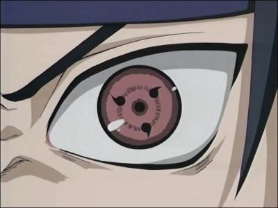 Comment se nomme cette pupille ?
