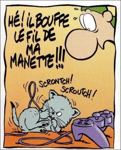 A qui appartient ce chaton ?