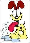 Comment se nomme ce chien, qui est le souffre douleur de Garfield ?