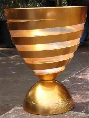 Quelle est cette coupe ?