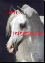 Quelle est sa race ?