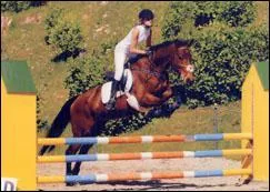 Quelle est sa race ?