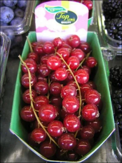 Quels sont ces petitsfruit slégèrement amers ?