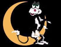 'tre dans la lune' veut dire :