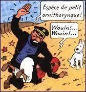 ''------------- ! '' : Animal australien, mammifère pondant des ufs mais sécrétant du lait. Il possède un bec de canard et des pattes palmées (munies de dards venimeux), c'est...