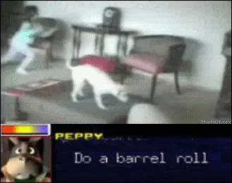 Complte : do a barrel roll : press... to twice.