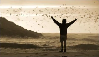 Quel acteur interprte au cinma le rle de Christopher McCandless (personne ayant rellement existe) dans le film 'Into the Wild', ralis par Sean Penn en 2007 ?