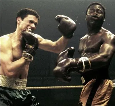 Wentworth Miller incarne ensuite un second rle dans 'La Couleur du Mensonge' o il joue le personnage jeune :