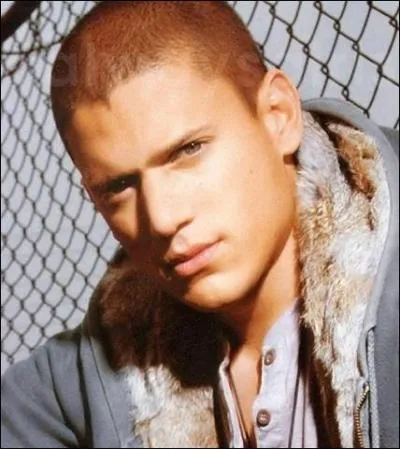 Comment se termine la dernire saison pour Michael Scoffield ?