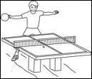 Comment s'appelle ce sport de raquettes qui se joue sur une table avec une petite raquette en bois et une petite balle en plastique ?