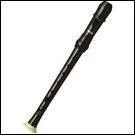 Quel est cet instrument ?