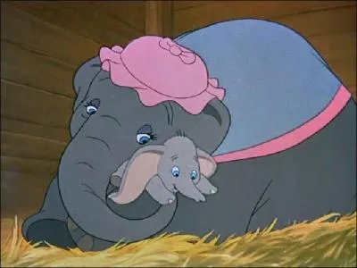 Dans quoi voyagent les animaux du cirque lorsque Jumbo, la maman de Dumbo, obtient enfin son bb ?