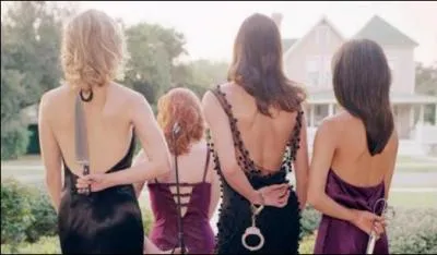 Ce feuilleton met en scène le quotidien mouvementé de quatre femmes dans la ville de Fairview...