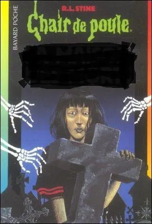 Quel est le titre de ce livre ?