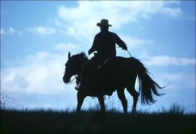 Dans le trs beau film 'L'homme qui murmurait  l'oreille des chevaux', quel est le nom du personnage qu'interprte Robert Redford ?
