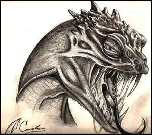 Comment s'appelle le serpent qui est enferm dans la chambre des Secrets ?