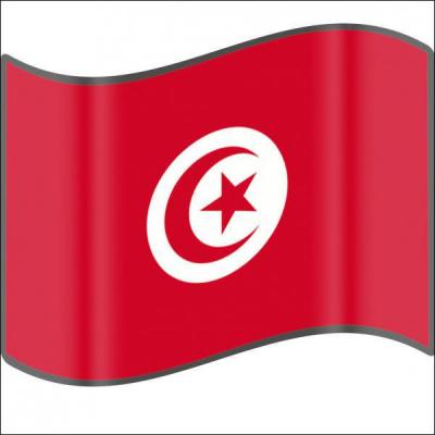 Qui est le prsident tunisien par intrim, depuis le dpart de Zine el-Abidine Ben Ali ?