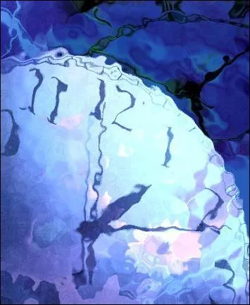 Voici 3 affirmations concernant la dure des journes sur les autres plantes. Laquelle est fausse ?