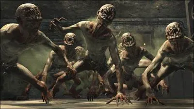 Comment les surnomme-t-on ?