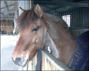 Qu'est-ce-qu'un abcs ?