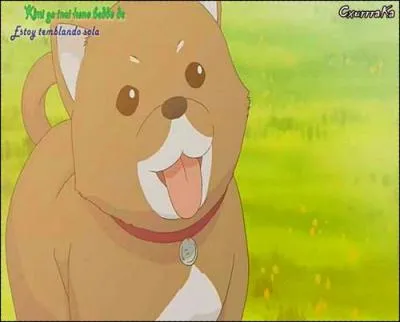 Comment s'appelle la chienne de Yano ?