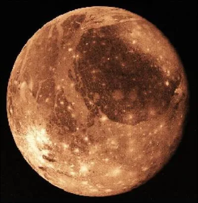 Sur cette plante, un jour dure plus qu'une anne. Il s'agit de ... ?