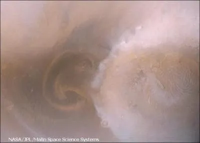 Laquelle de ces plantes ne connat pas de temptes ?