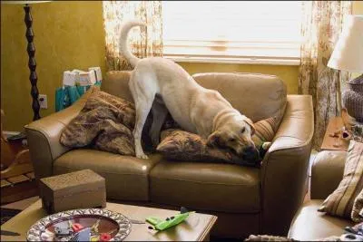 De quel film provient cette image ?