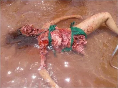 De quel film provient cette image ?