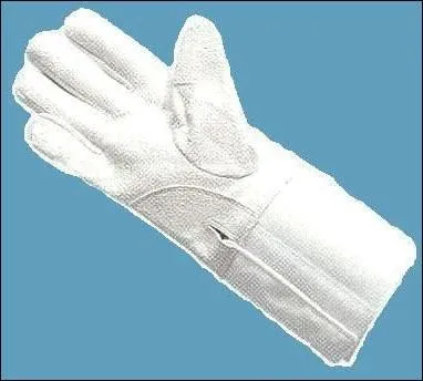 Que voit-on sur la photo ?