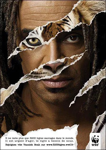 Quelles solution sont envisages pour sauver l'espce ? (plusieurs bonnes rponses)