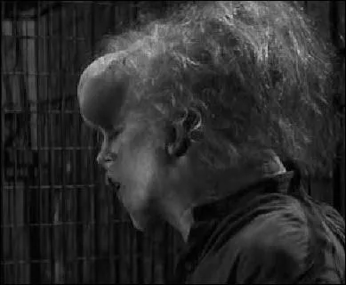 Dans quoi le fait-il dormir ?