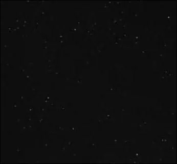 Comment Elephant Man se suicide-t-il  la fin ?