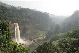 Quelles sont les langues officielles du Cameroun ?