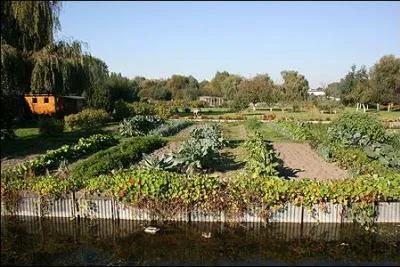 A l'est d'Amiens, un ancien marais form de nombreuses les entoures de voies d'eau alimentes par la Somme est un espace consacr  la culture marachre. Comment appelle-t-on cet endroit ?