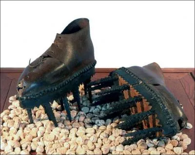 Quel produit ardchois bnficie du label AOC depuis juin 2006 ?