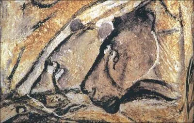 Quelle clbre grotte a t dcouverte en 1994 dans le Sud de l'Ardche ?