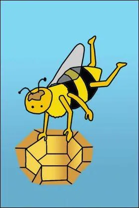 Quels mtiers sont exercs par les abeilles femelles dans la ruche ? (plusieurs bonnes rponses)