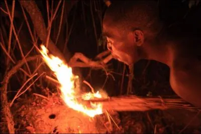 Voici 4 affirmations concernant les abeilles africaines (ou originaires d'Afrique). Laquelle est FAUSSE ?