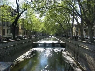 Lady Diana lutta contre ce flau.