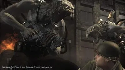 Comment s'appelle cette crature ?