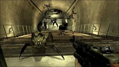 Comment s'appelle ce 'scorpion' ?