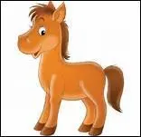 De retour au box, que devez-vous faire ?