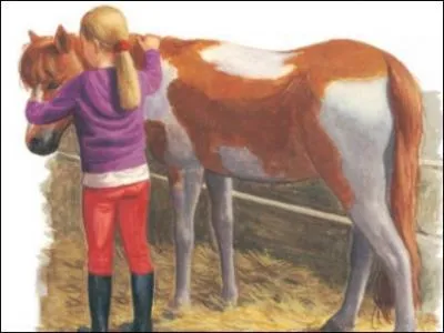 Une fois votre cheval sec, que devez-vous faire ?